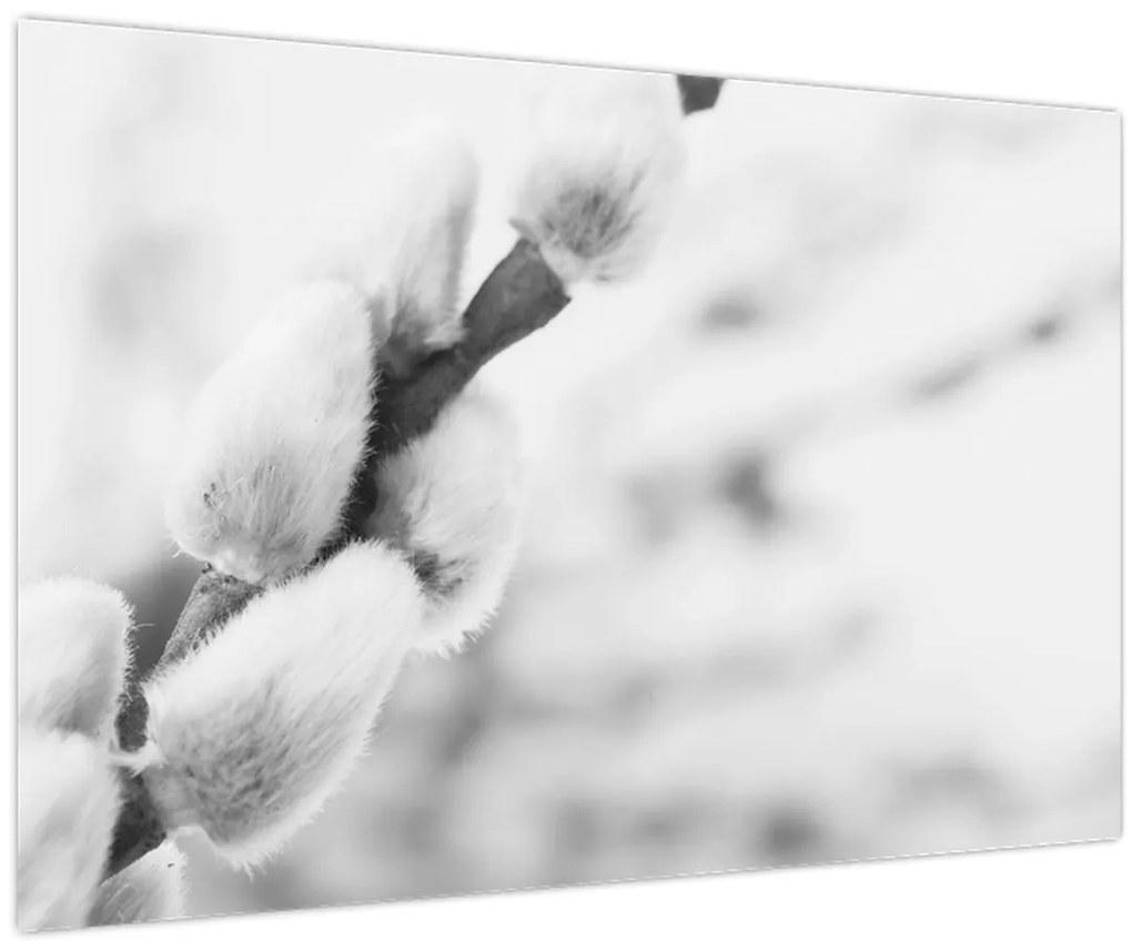 Obraz - Začiatok jari (90x60 cm)