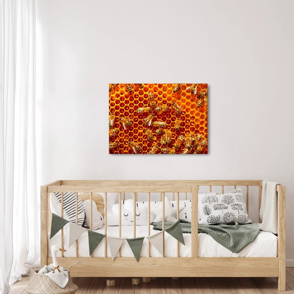 Obraz - Medový plást (70x50 cm)