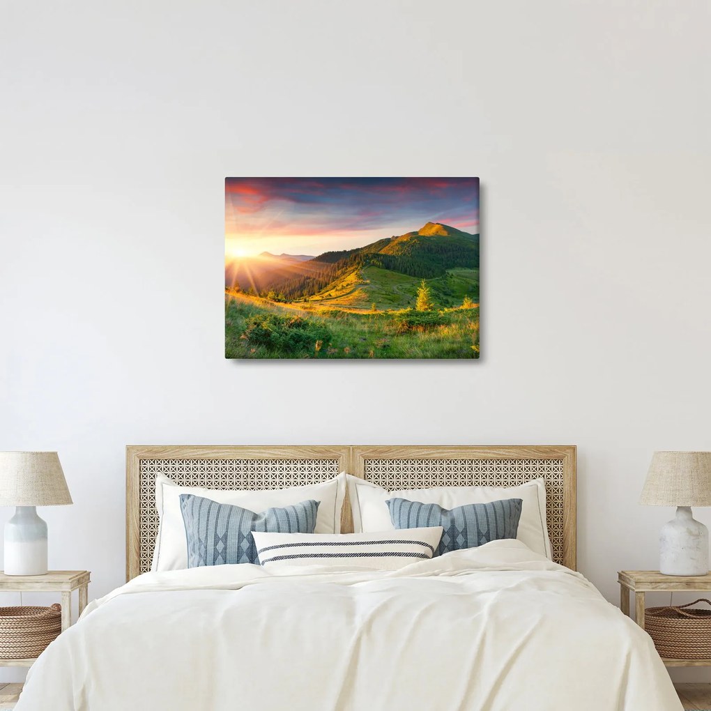 Obraz - Letná krajina (70x50 cm)