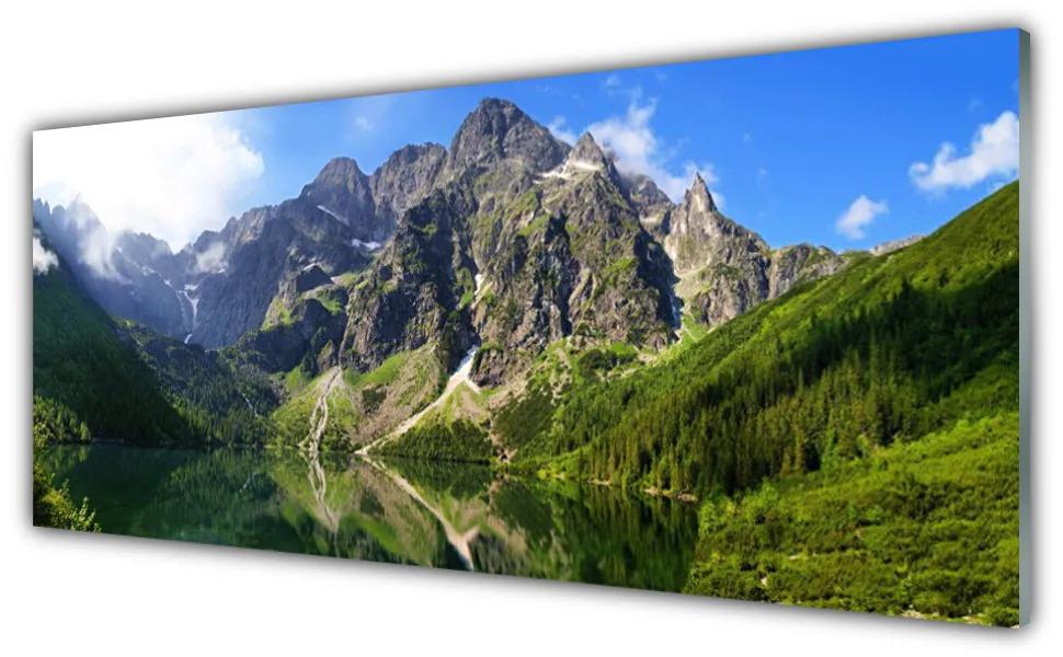 Obraz plexi Tatry hory morské oko les 125x50 cm