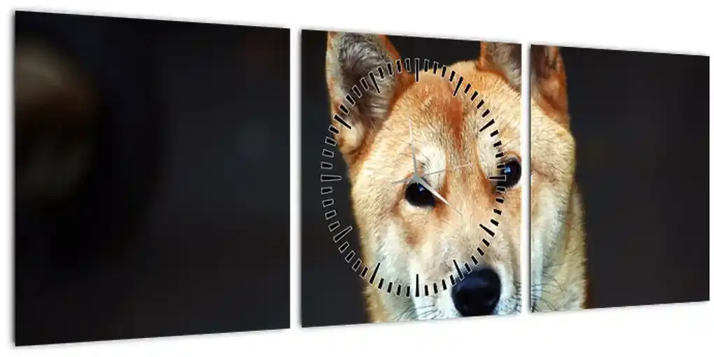 Obraz psa (s hodinami) (90x30 cm) | BIANO