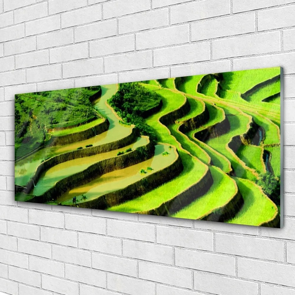 Obraz plexi Pole ryža les umenie 125x50 cm