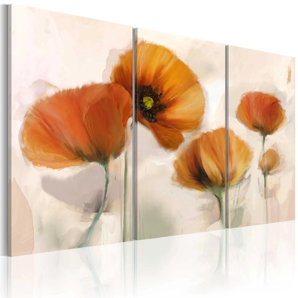 Artgeist Obraz - Artistic poppies - triptych Veľkosť: 90x60, Verzia: Na talianskom plátne