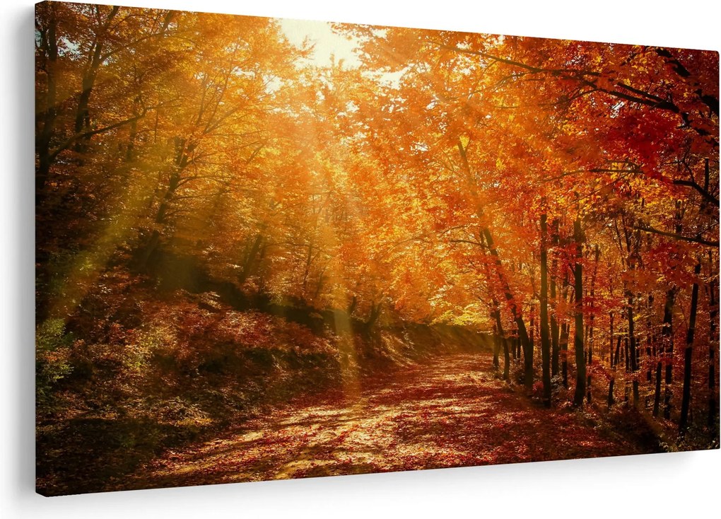 Obraz jesenného lesa (90x60 cm)