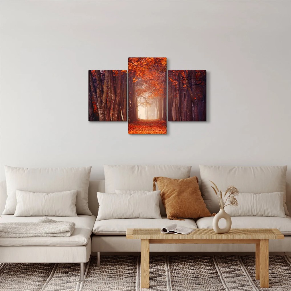 Obraz - Jesenné les (90x60 cm)