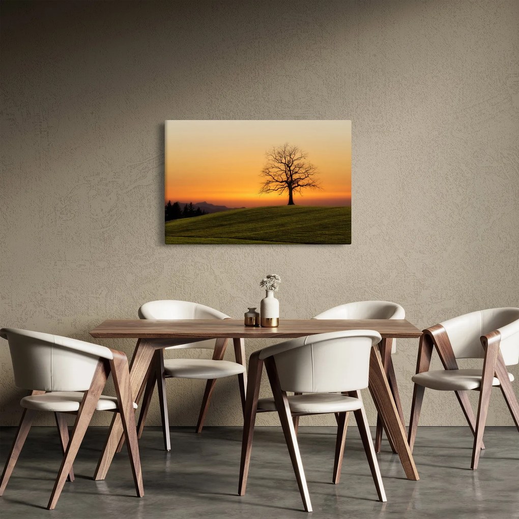 Obraz západu slnka na lúke (90x60 cm)