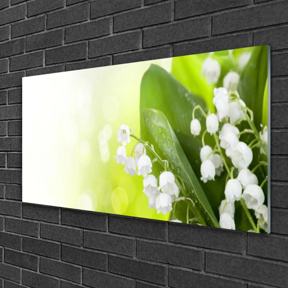 Skleneny obraz Konvalinky listy kvety lúka 100x50 cm