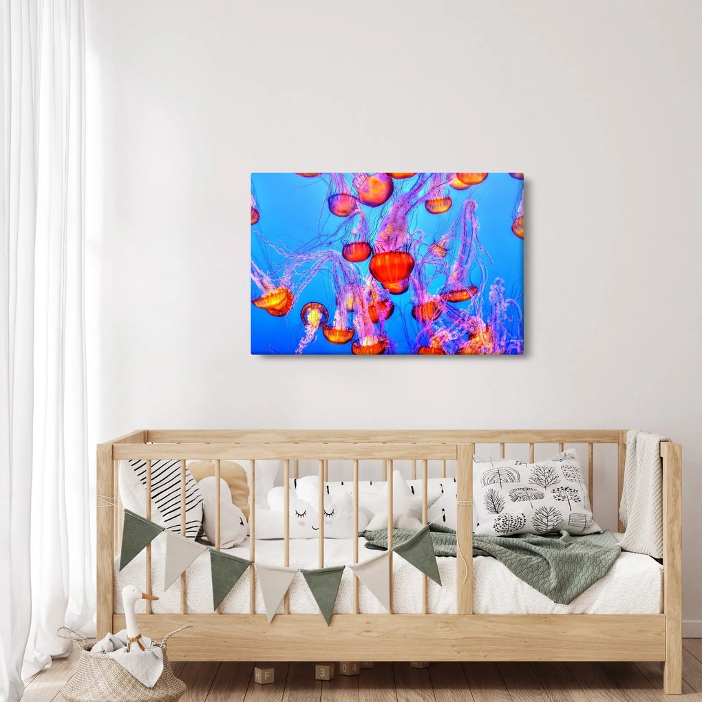 Obraz medúz v mori (90x60 cm)