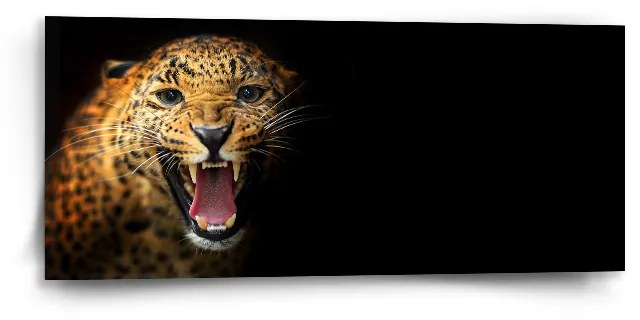 Sablio Obraz Gepard 2 - 110x50 cm