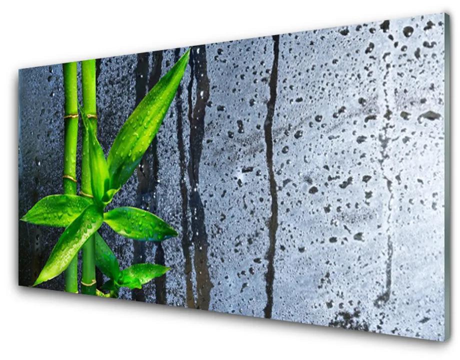 Skleneny obraz Bambus list rastlina príroda 140x70 cm