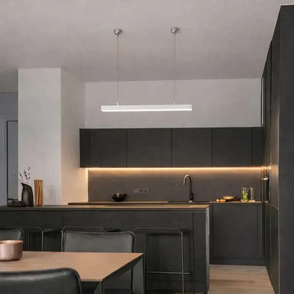 Brilagi - LED závesné svietidlo FULLDAY LED/10/15/20W/230V 2700/4000/6000K 60 cm biela