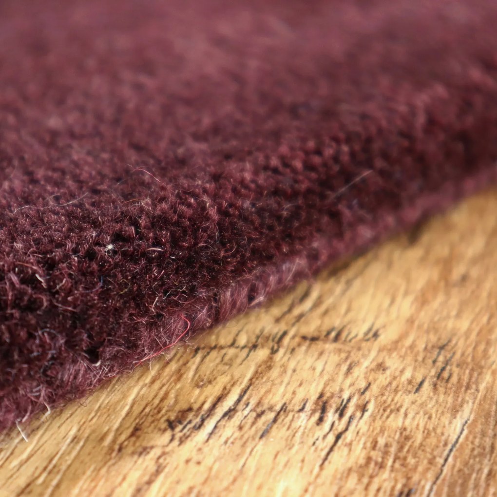 Asra, Ručne všívaný kusový koberec Asra wool tm. fialová, 60x110, fialová, obývacia izba