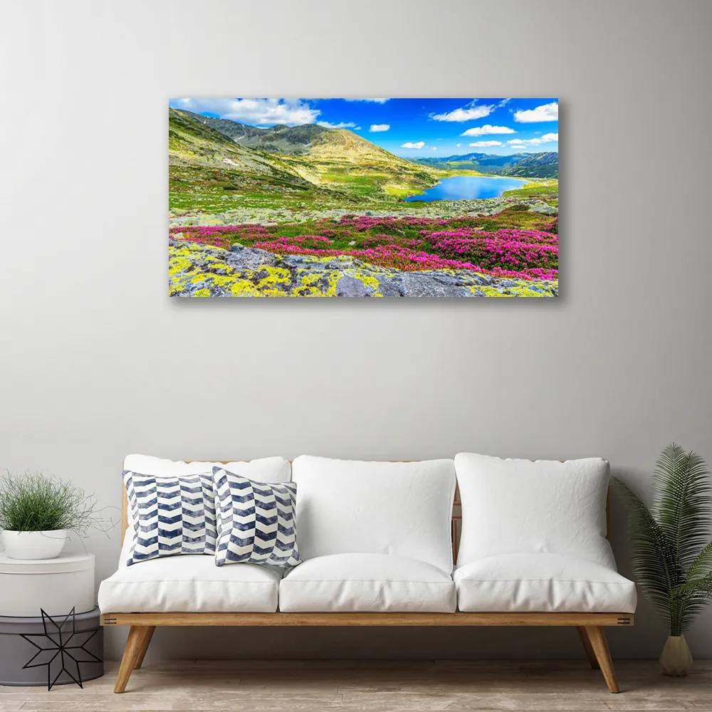 Obraz na plátne Hora záliv lúka príroda 140x70 cm