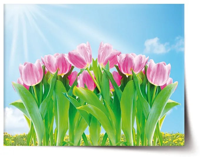 Sablio Plagát Ružové Tulipány - 90x60 cm