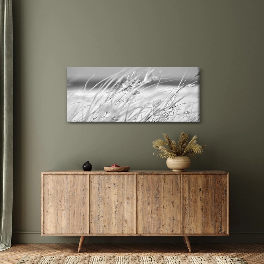Obraz - Plážová tráva (120x50 cm)