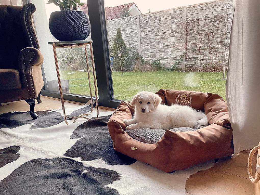 Pelech pre psa Premium 70/85/95