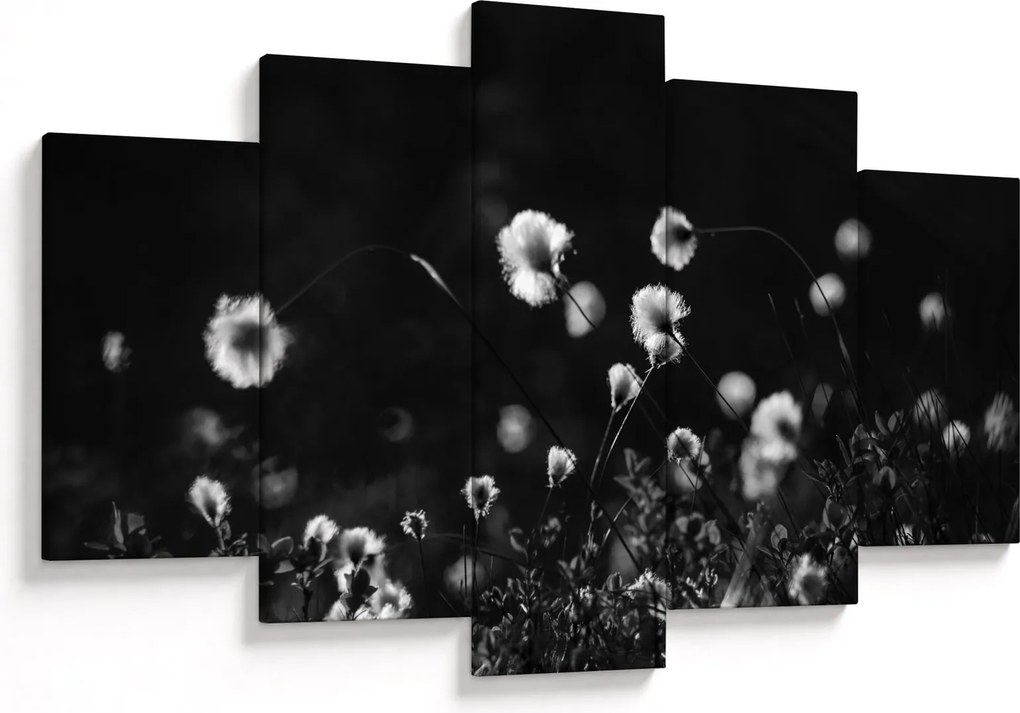Obraz - Lúka s cottongrass N⁰1 (150x105 cm)