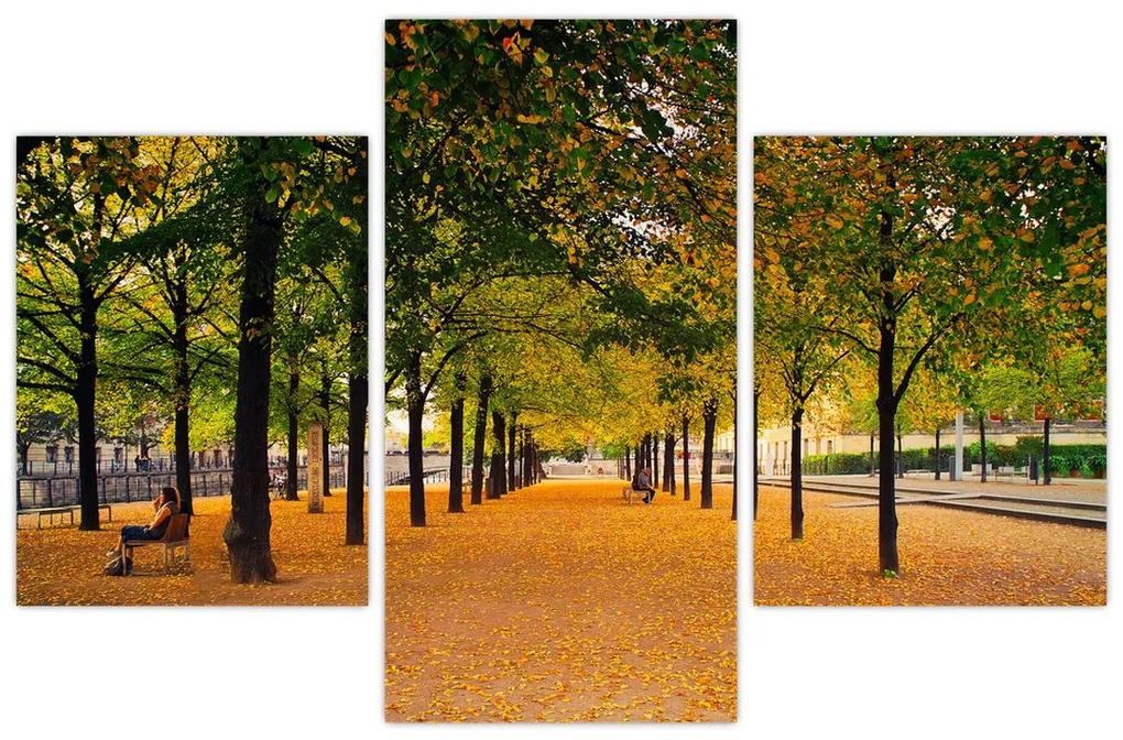 Obraz aleje jesenných stromov (90x60 cm)