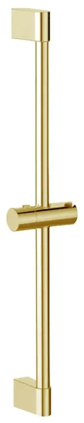 Sprchový držiak 01 Zlatá Rea P5981