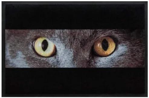 Premium rohožka- zvieratá - oči sivej mačky (Vyberte veľkosť: 100*70)