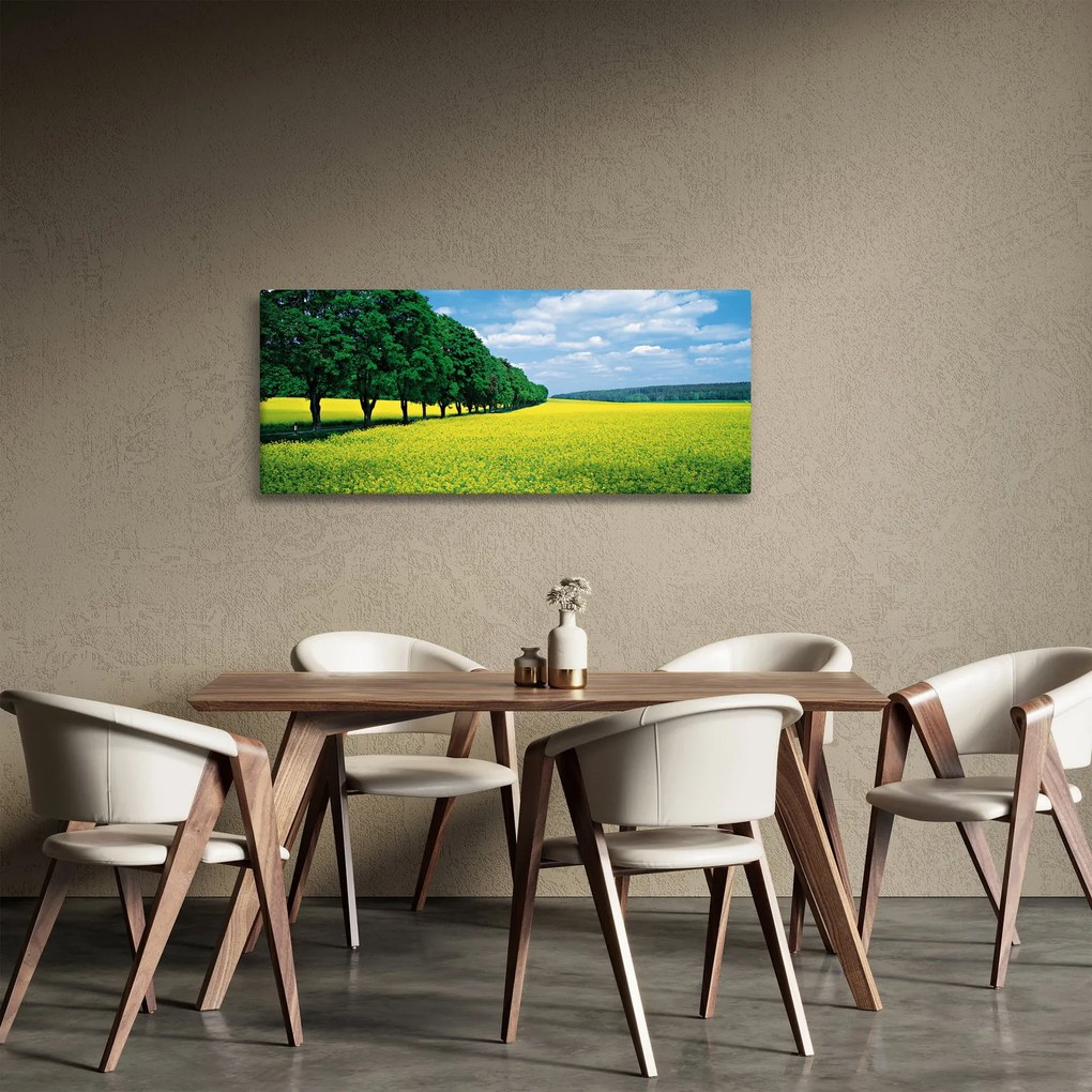 Obraz poľa s alejou (120x50 cm)