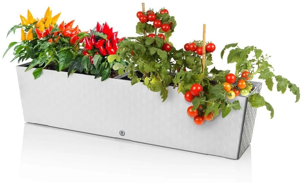 Flower Lover Samozavlažovací kvetináč Supreme biela, 75 cm, 75 cm