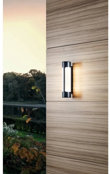 Eglo 97119 - LED vonkajšie nástenné svietidlo TONEGO 2xLED/6W/230V