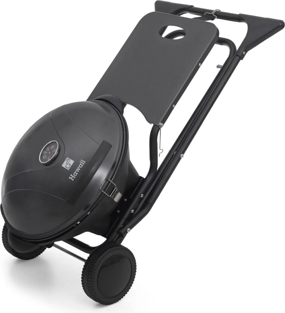 Gril G21 Hawaii, Elektrický