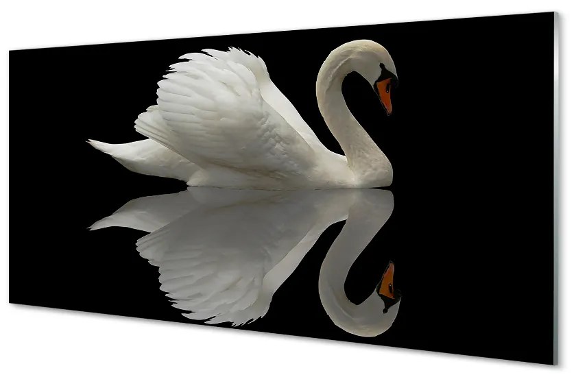 Obraz na akrylátovom skle Swan v noci 140x70 cm