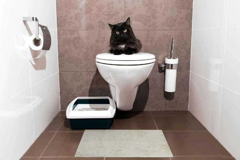 BO-MA, Kúpeľňová predložka Ella micro biela, 50x40, biela, kúpeľňa