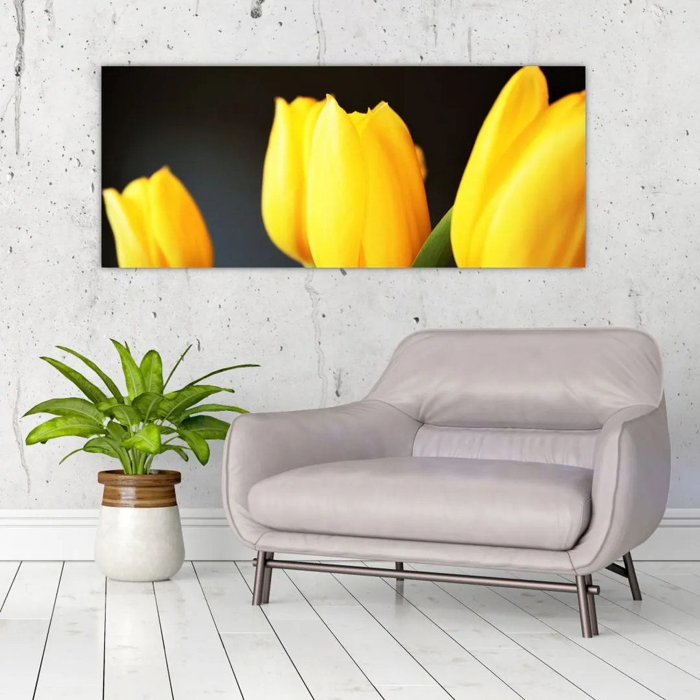 Obraz tulipánov (120x50 cm)