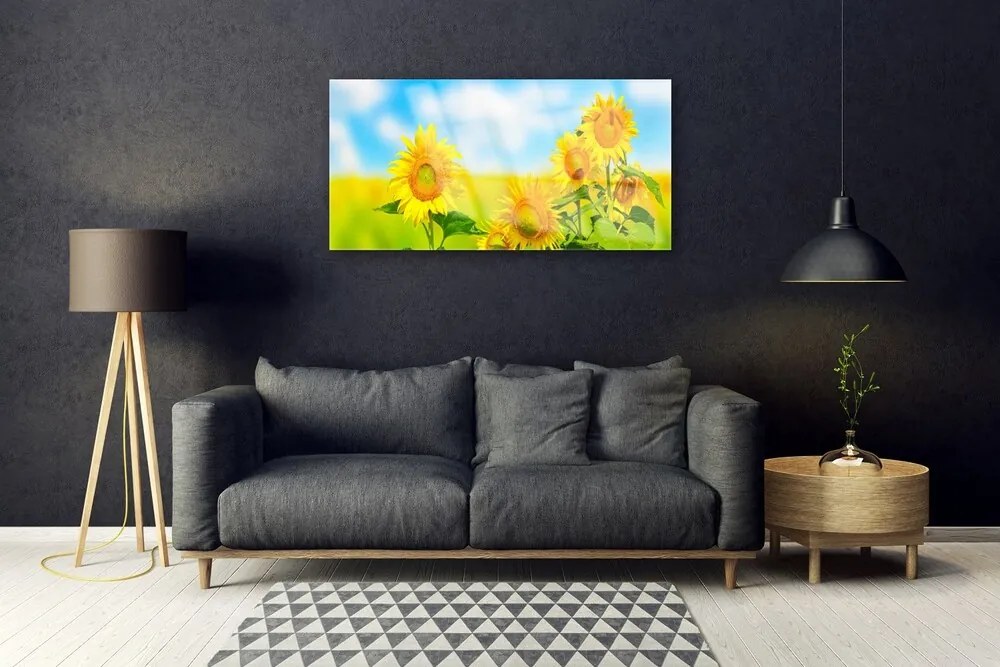 Obraz plexi Slnečnica kvety príroda 100x50 cm