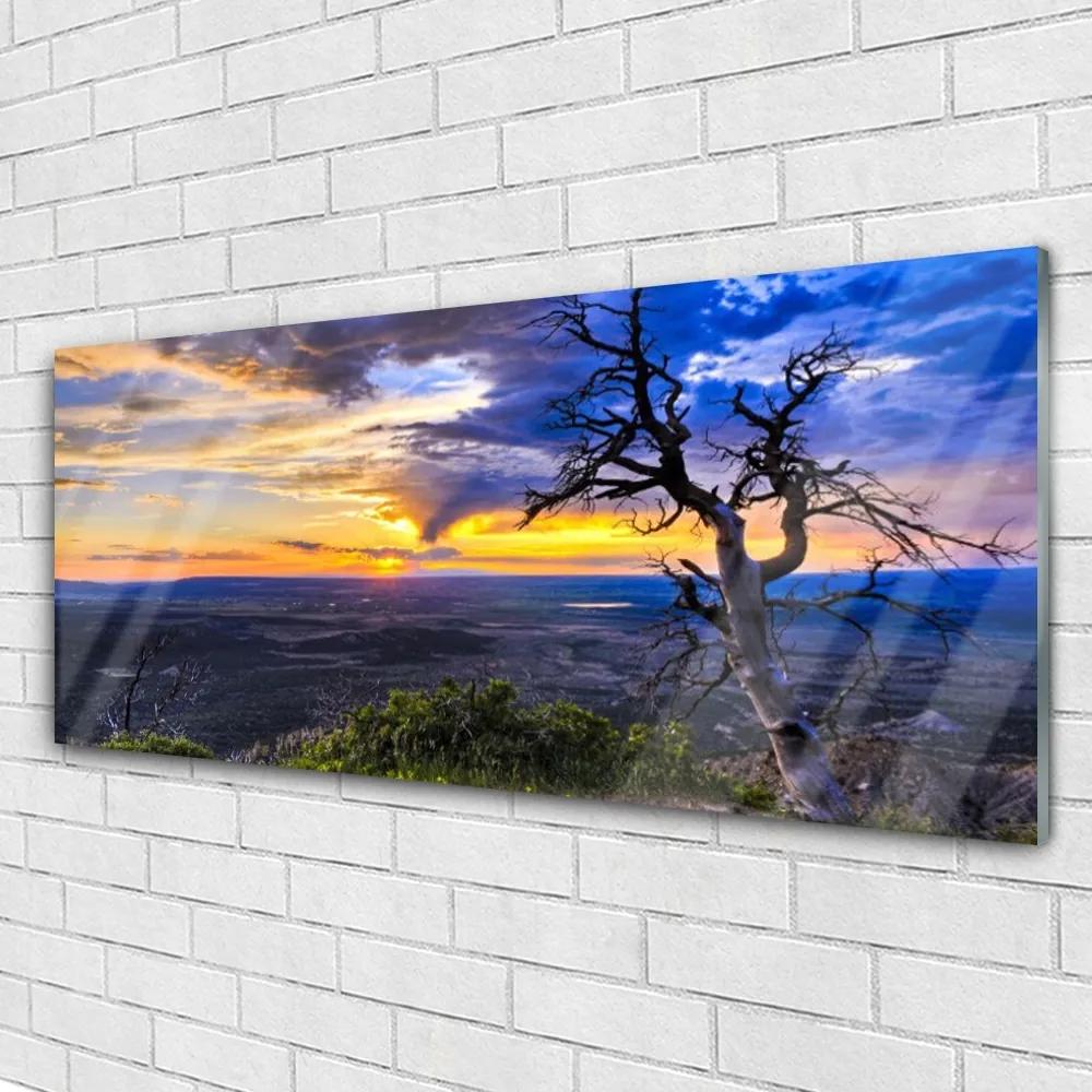 Obraz plexi Strom zápas slnko 125x50 cm