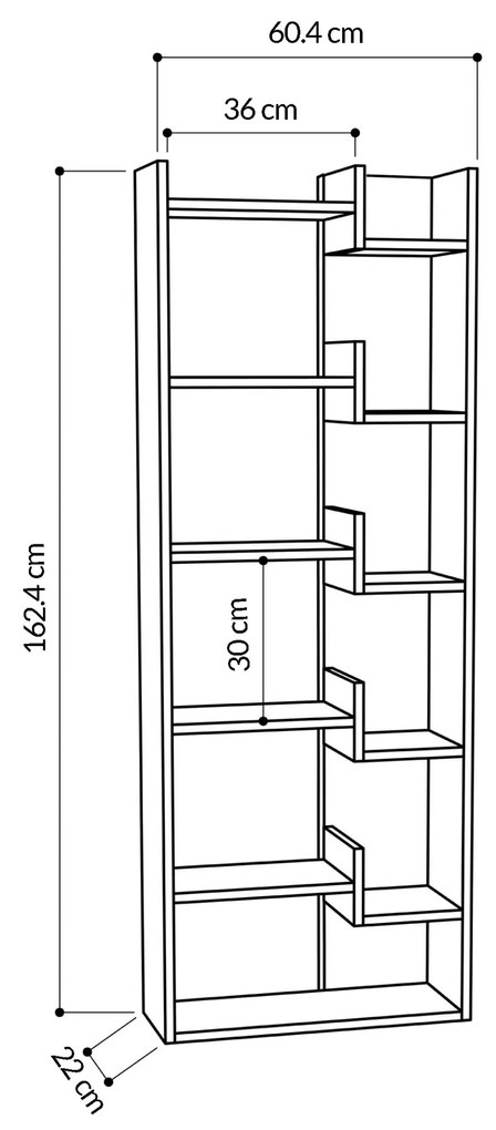Moderná knižnica Houseland Oppa dub prírodný/antracit