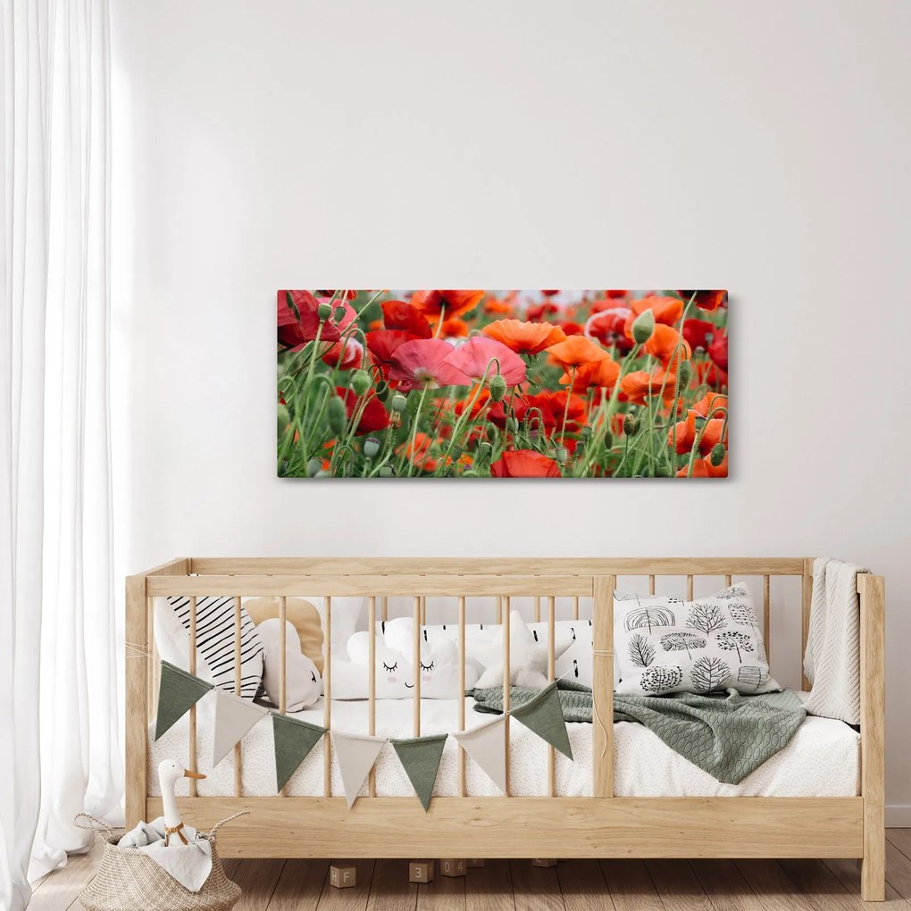 Obraz z poľa vlčích makov (120x50 cm)