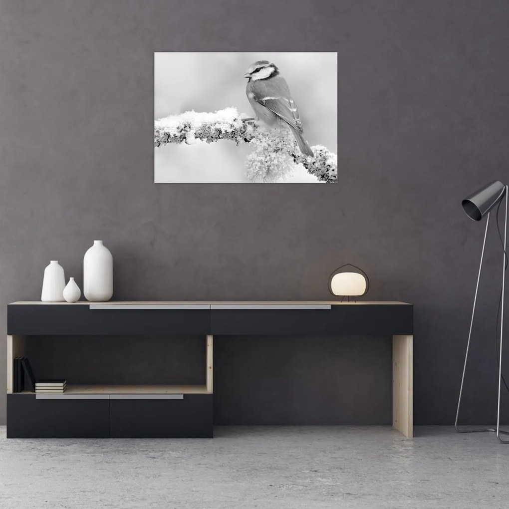 Obraz - Vtáčik na vetve (70x50 cm)
