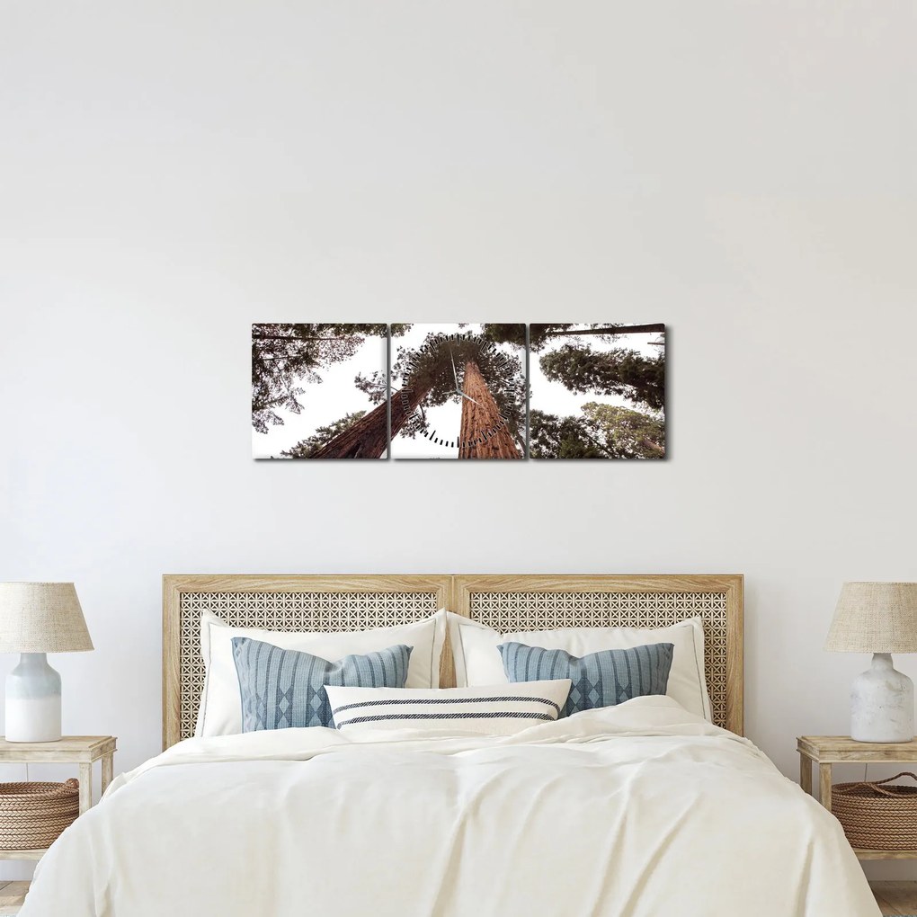 Obraz - Pohľad skrz koruny stromov (s hodinami) (90x30 cm)