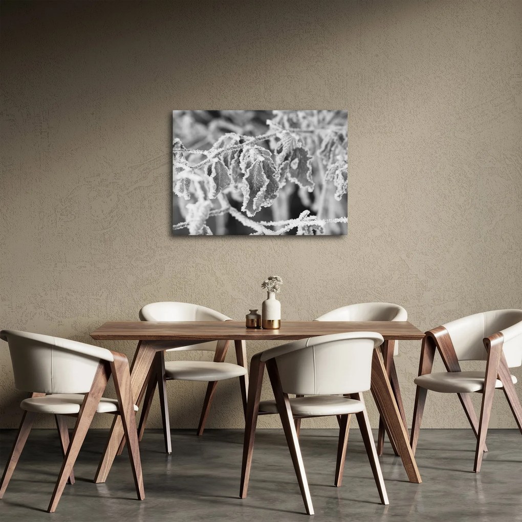 Obraz - Zmrznuté listy, čiernobiela (70x50 cm)