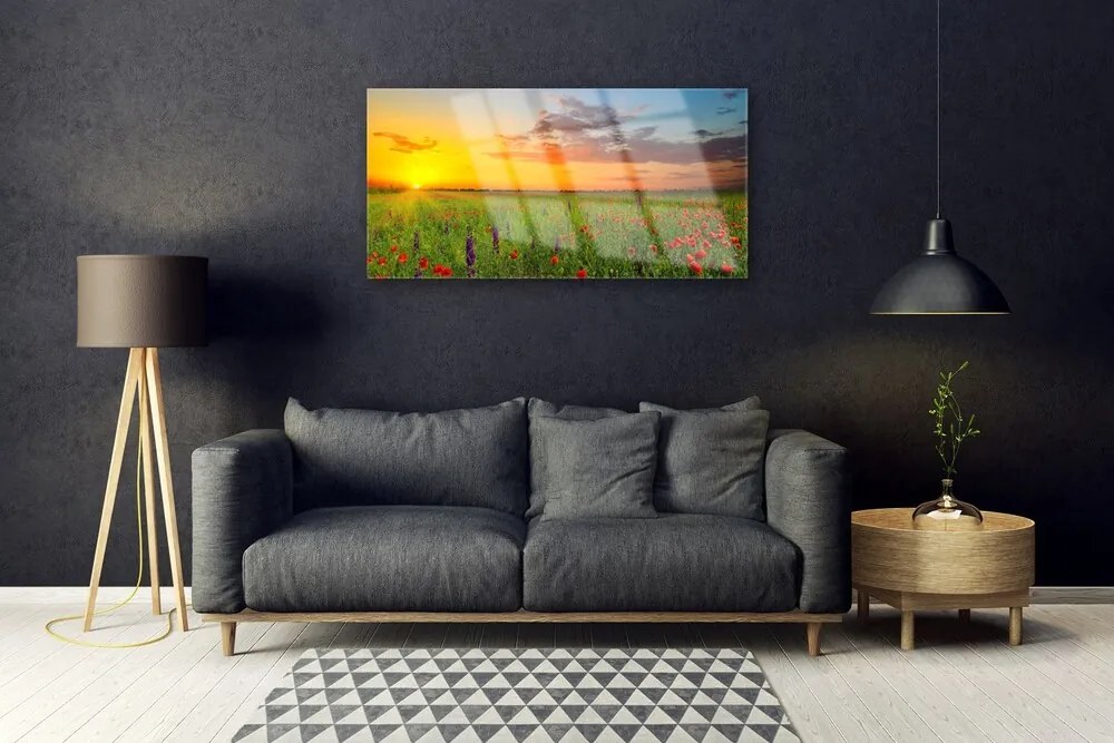 Obraz plexi Slnko lúka kvety príroda 100x50 cm