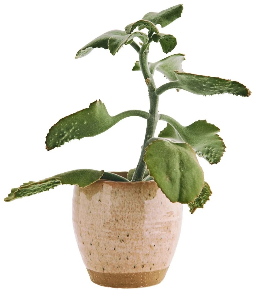 MADAM STOLTZ Kameninový obal na kvetináč Peach 15 cm