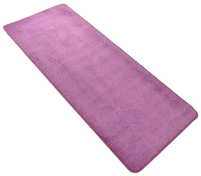 Hanse Home Collection koberce Kusový koberec Nasty 101150 Lila - 80x150 cm