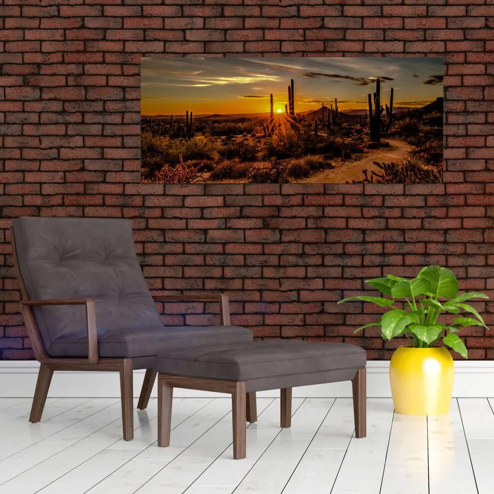 Obraz - Koniec dňa v arizonskej púšti (120x50 cm)