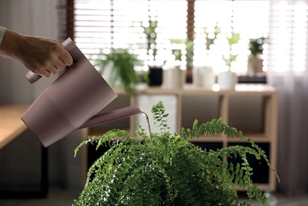 Kanvica IBISA - výber z 5 prevedení