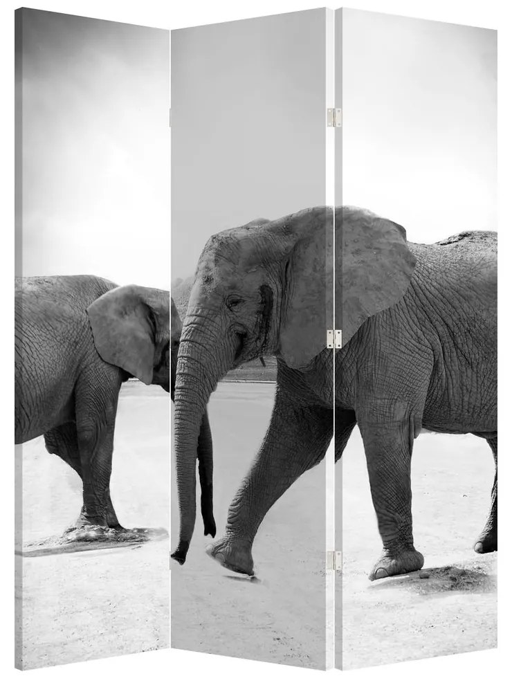 Paraván - Čiernobiele slony (126x170 cm)
