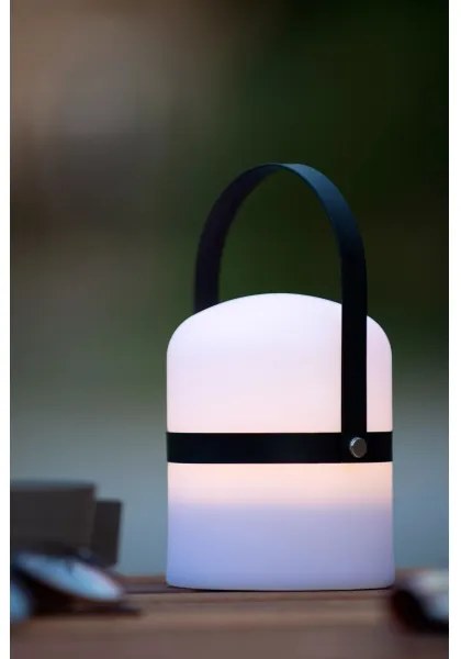 Lucide 06802/01/30 -LED Vonkajšia stmievateľná lampa LITTLE JOE LED/0,3W/3,7V IP44