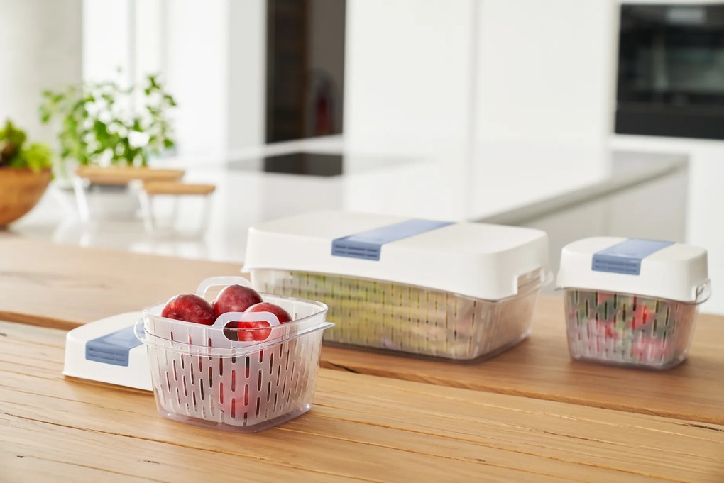 Rotho Špeciálny box na ovocie a zeleninu, s ventiláciou a filtrom, do chladničky, Fridge Fresh, 1,6 l, modrý