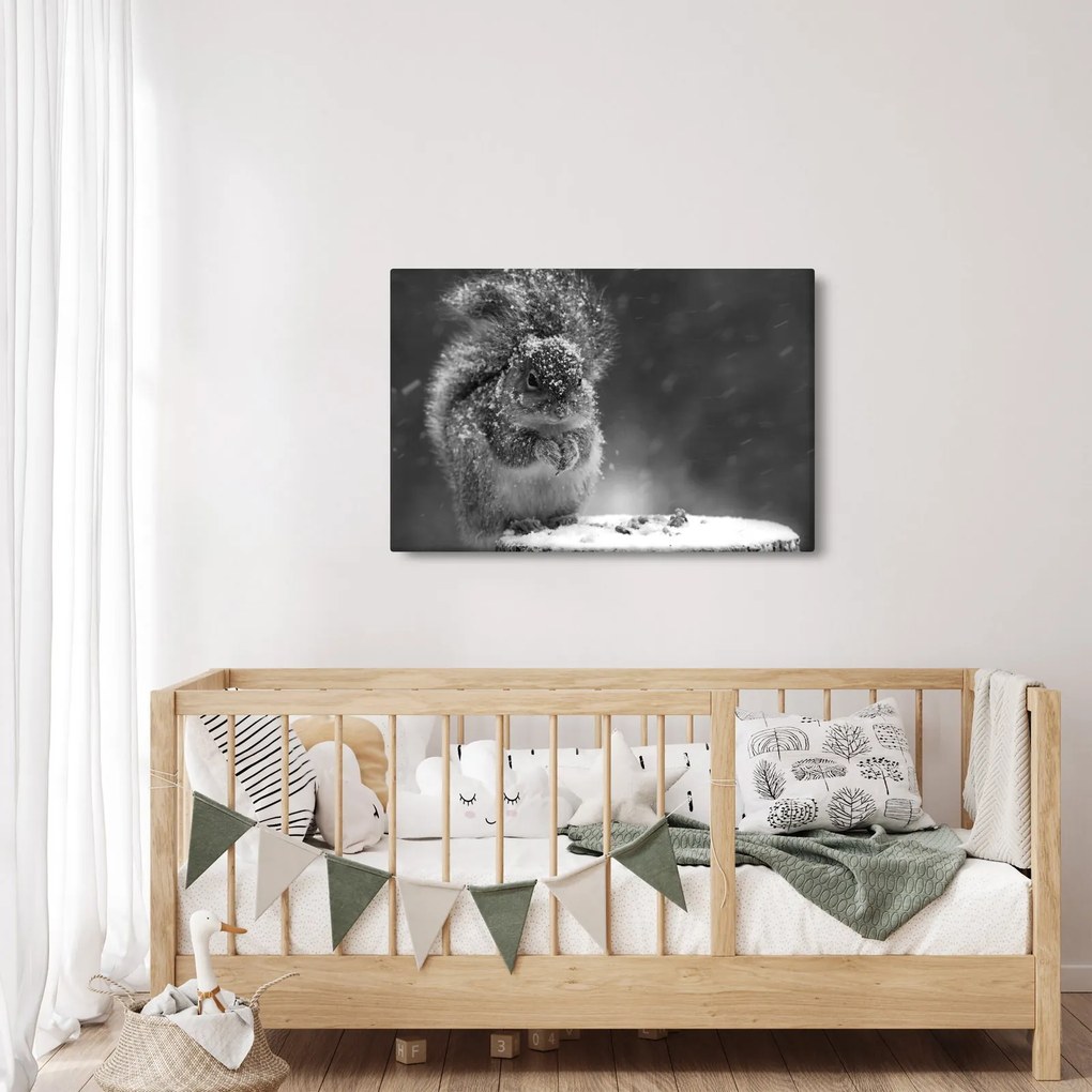 Obraz - Veverička v zime (90x60 cm)