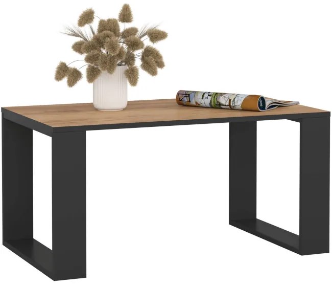Konferenčný stolík NOX dub craft / čierny