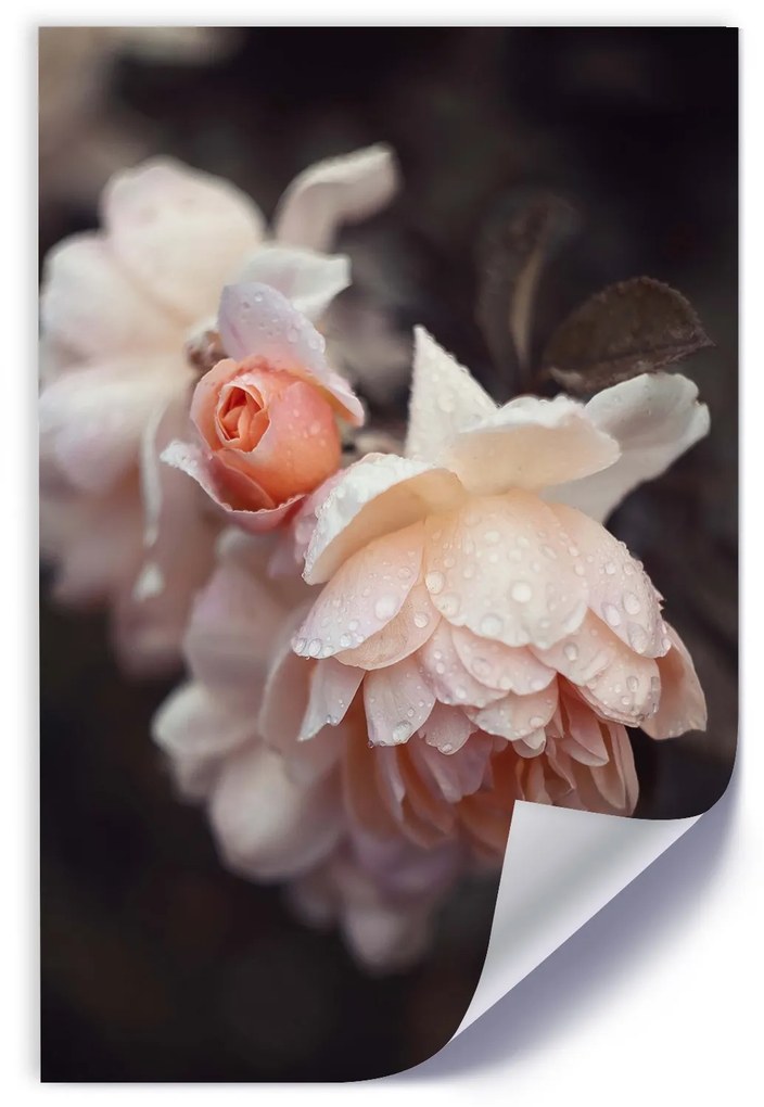 Gario Plagát Makro fotografovanie kvetov Farba rámu: Bez rámu, Rozmery: 30 x 45 cm