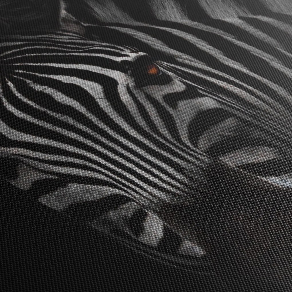 Obraz zebry (120x50 cm)